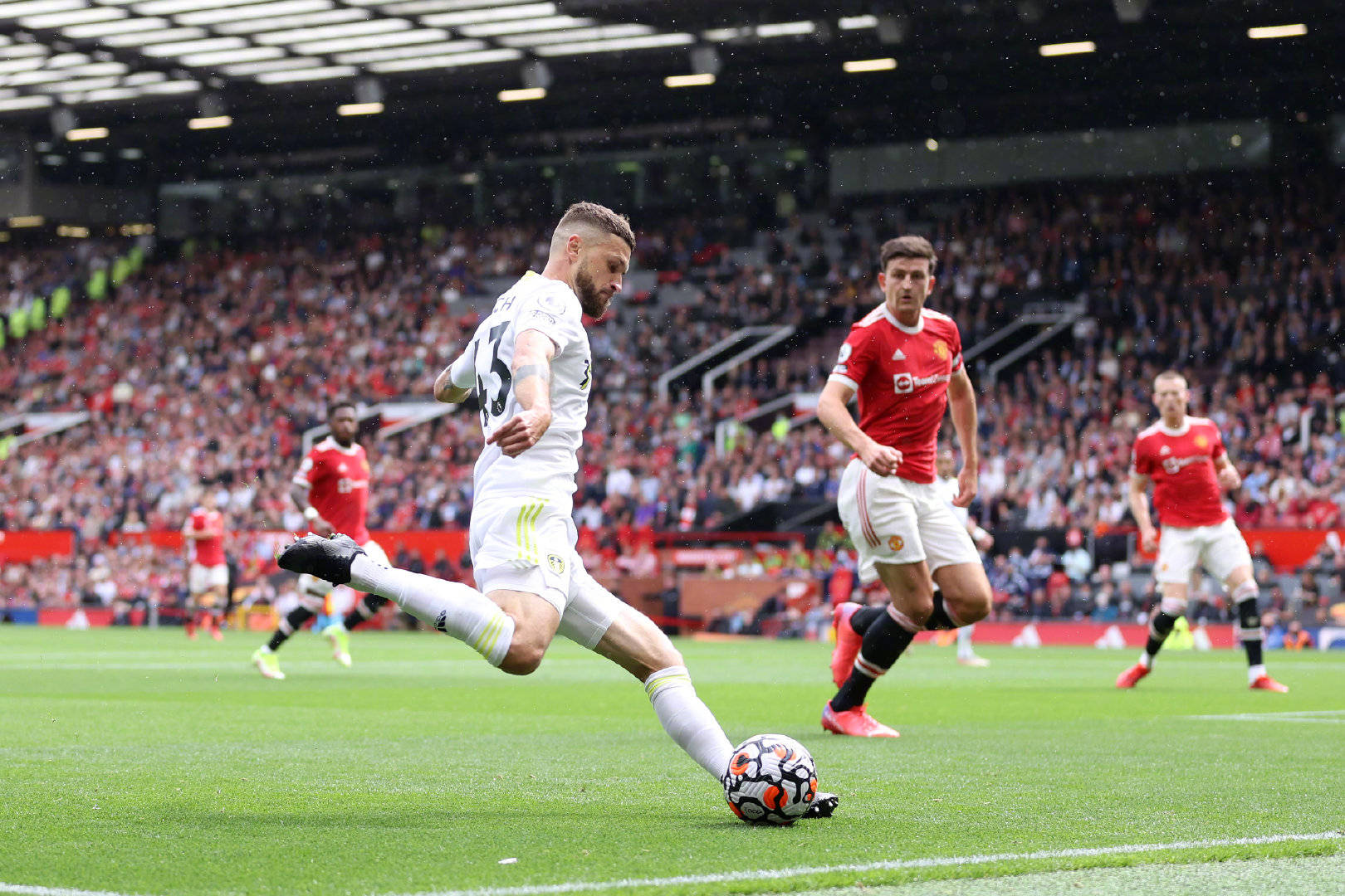 霍尔盖特自 霍尔盖特自